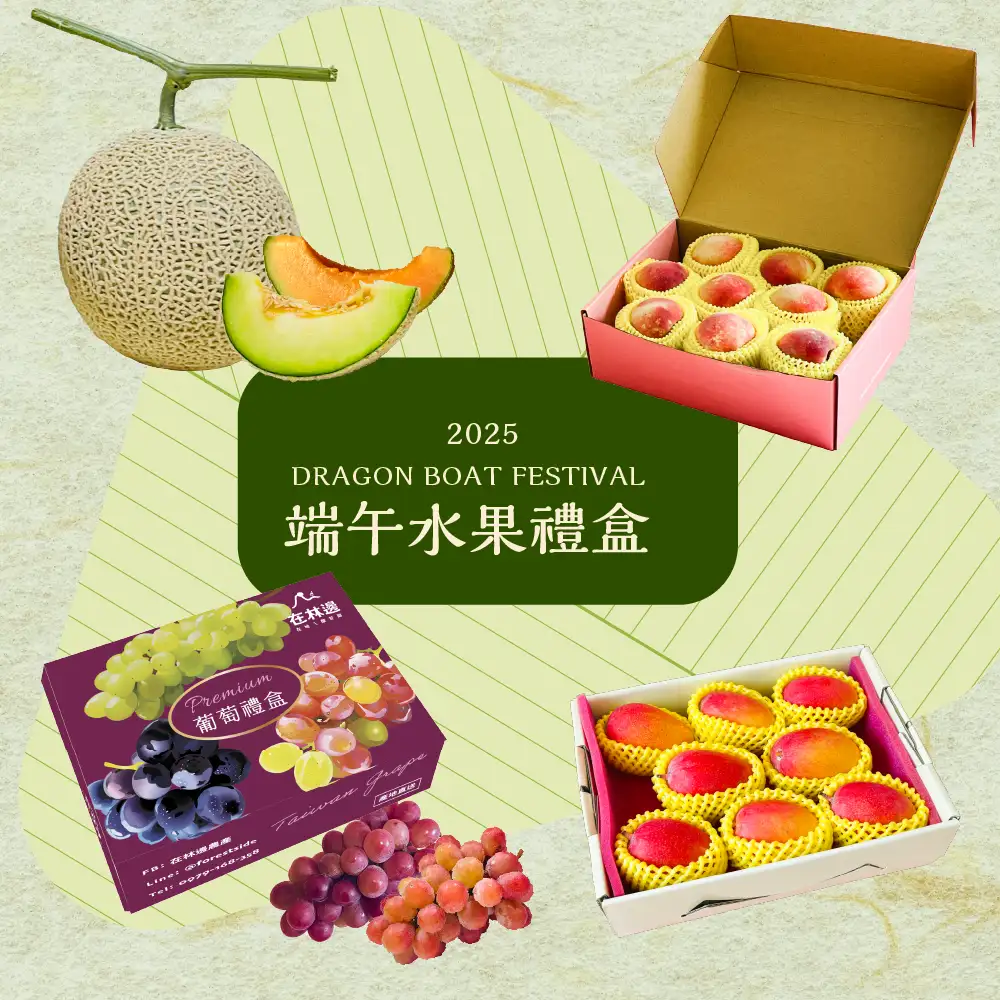 端午節禮盒