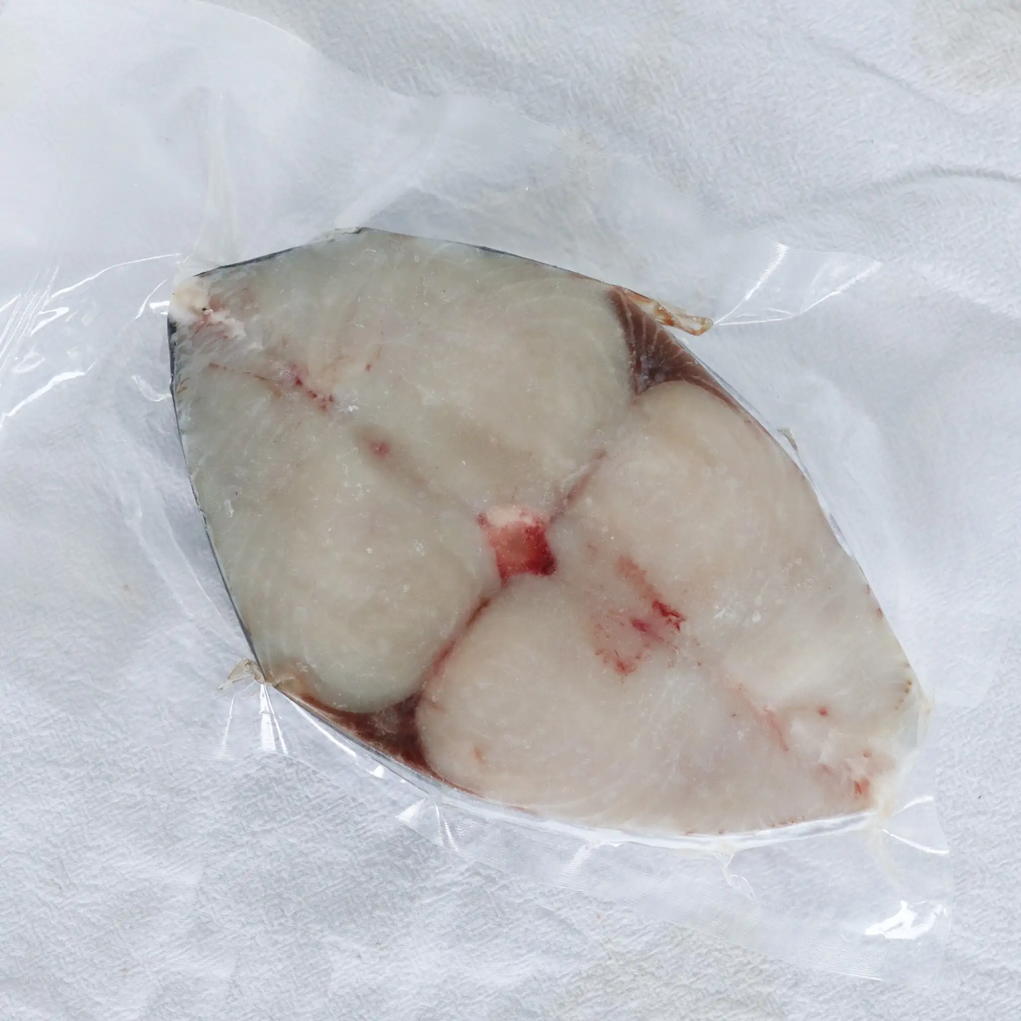 南方澳 一支釣土魠魚