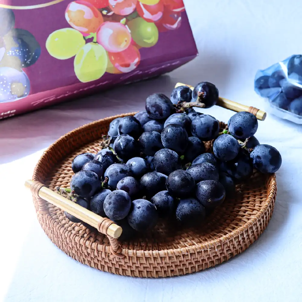 溫室 巨峰葡萄禮盒 (5月預購)